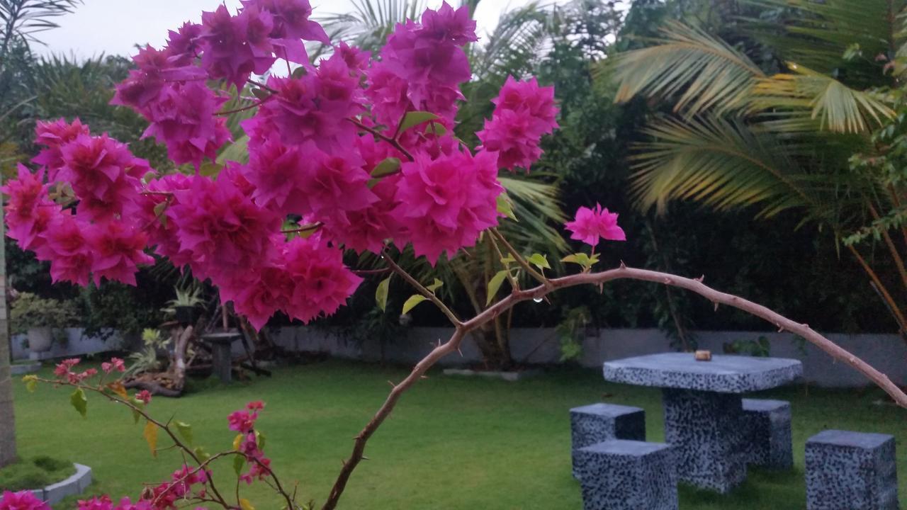 Dhammika Magic Palace วัดดูวา ภายนอก รูปภาพ